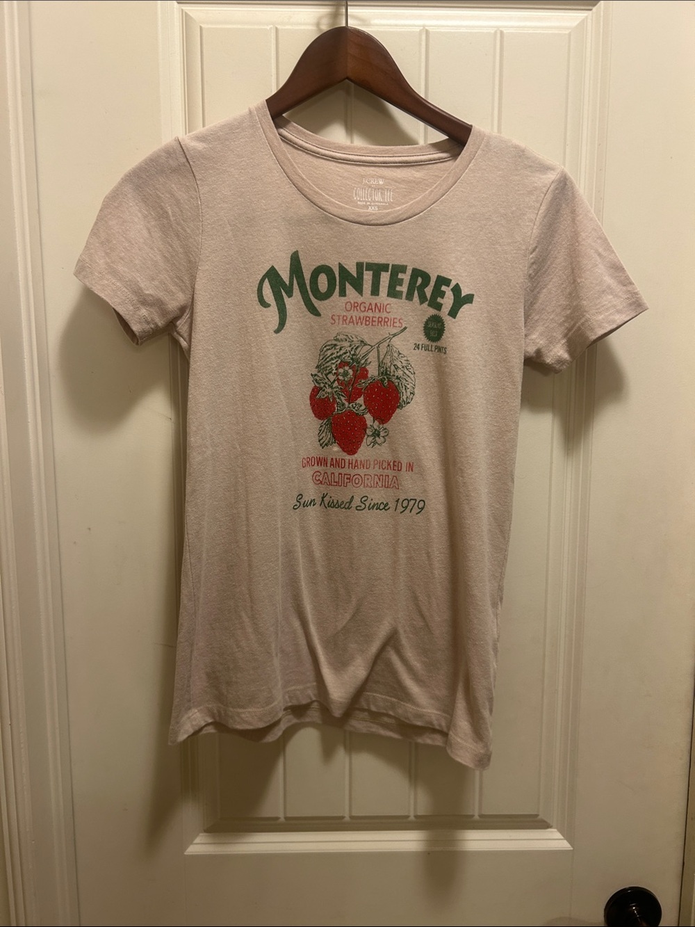 J. Crew  tan collector tee Monterey organic Strawberries Graphic Tee